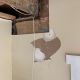 Sunroom Ceiling Drywall Repair
