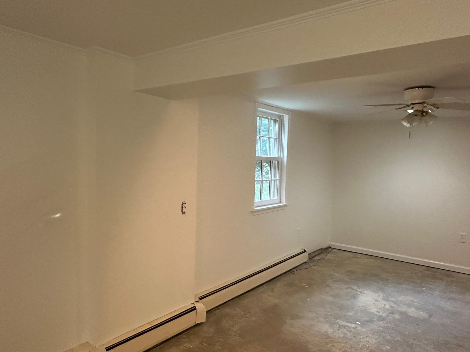 Chester County Basement Remodel